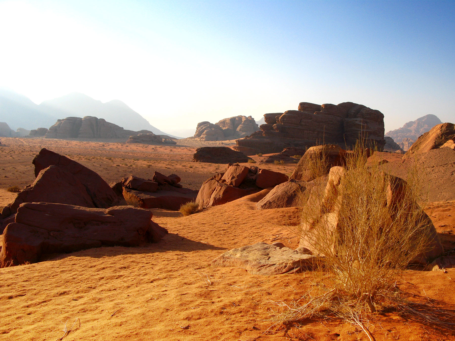 Desert trip in Wadi Rum