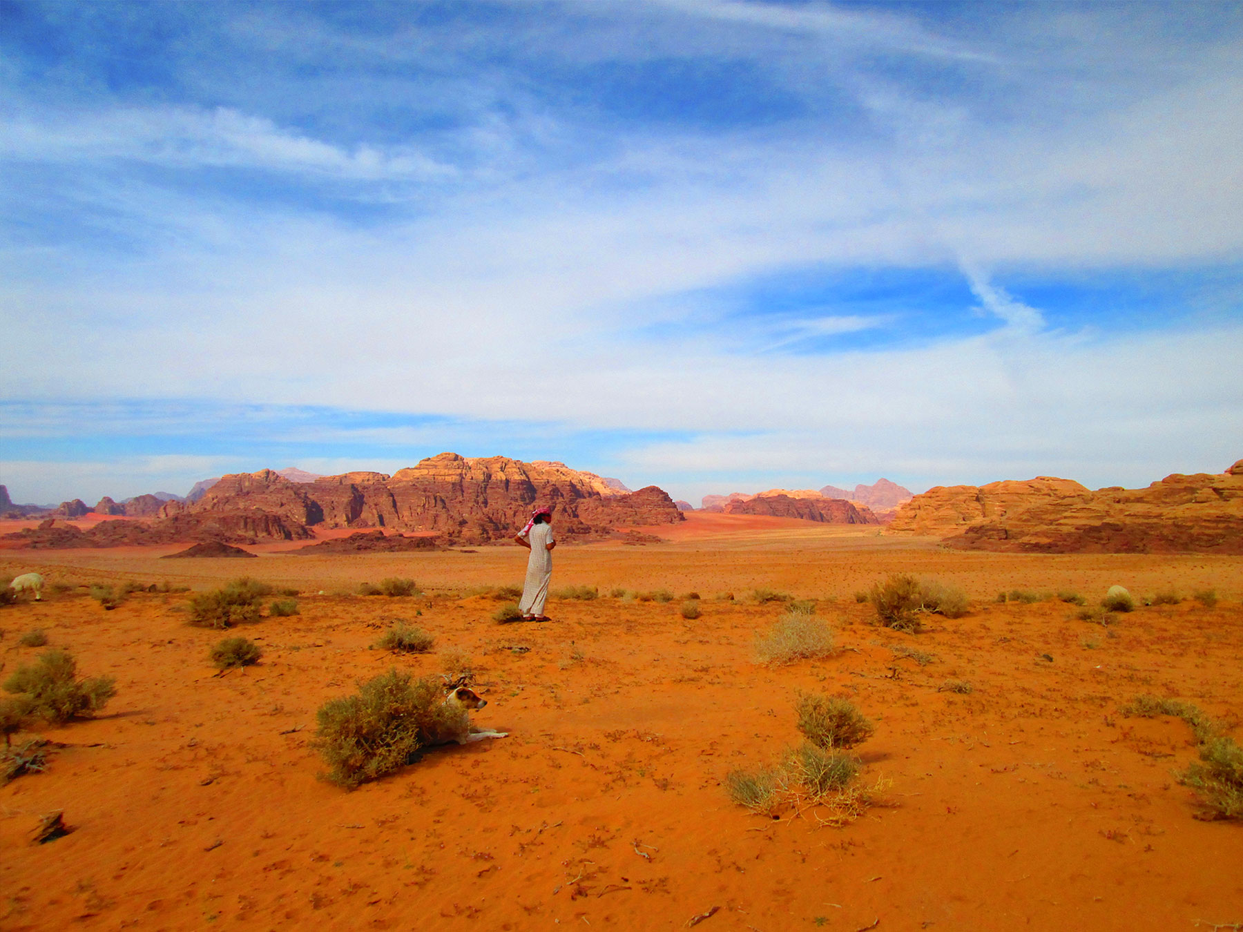 Discover Wadi Rum desert