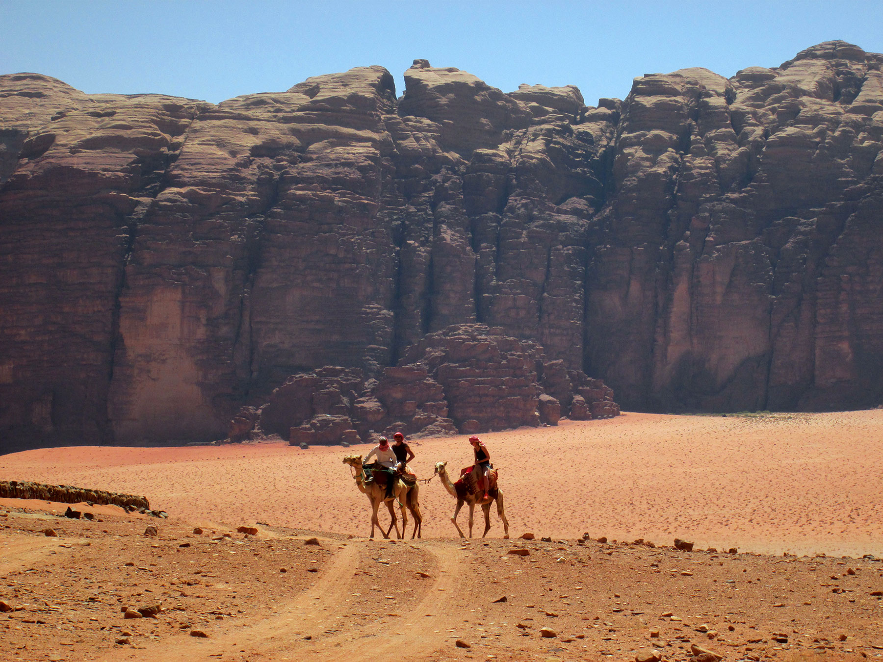 Tour à chameau en Jordanie